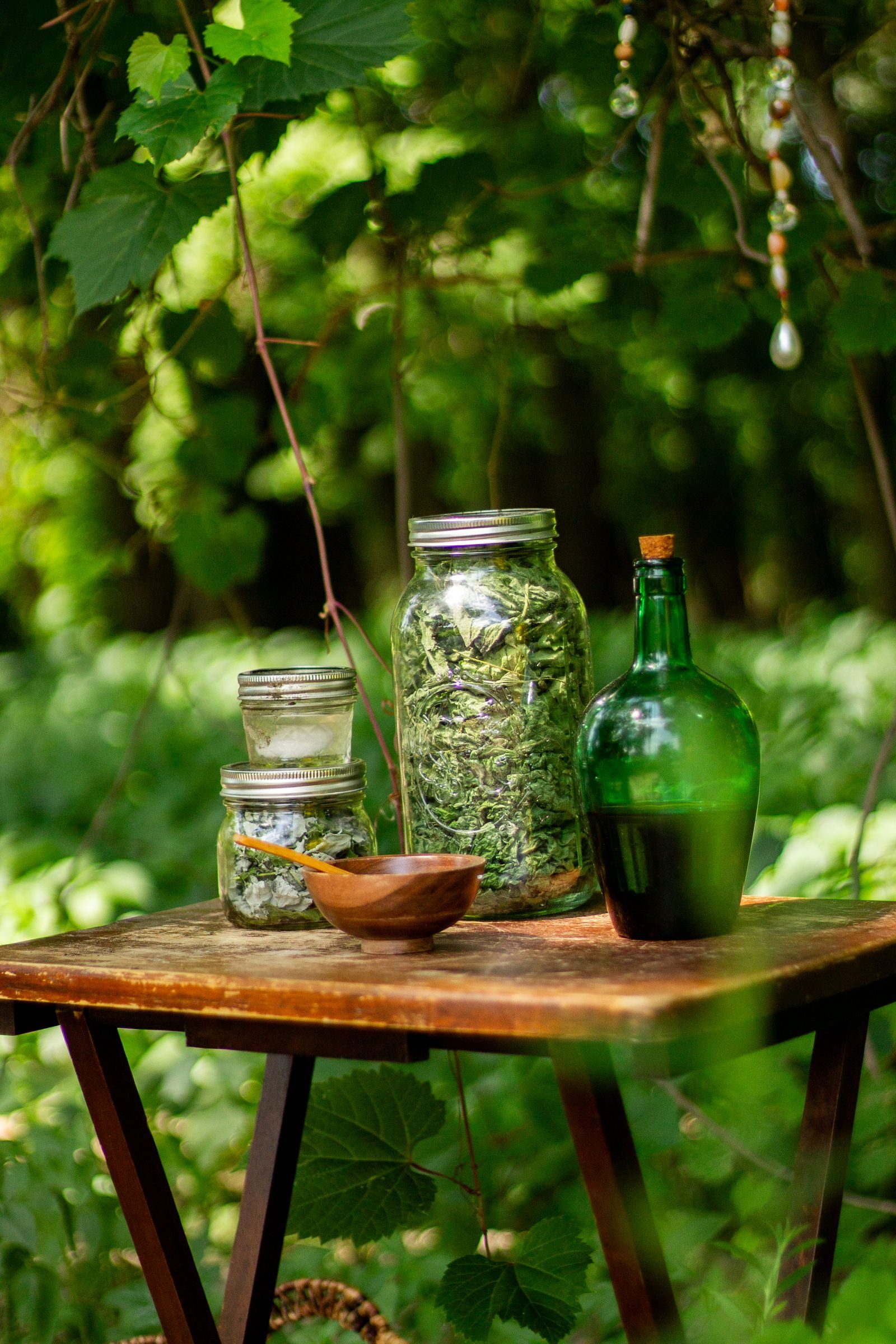 Glass jars of dried herbs and botanical preparations in natural light